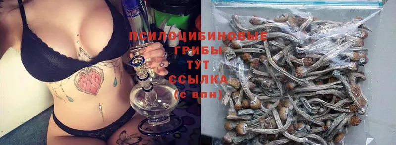 хочу   Заинск  blacksprut ТОР  Псилоцибиновые грибы Magic Shrooms 